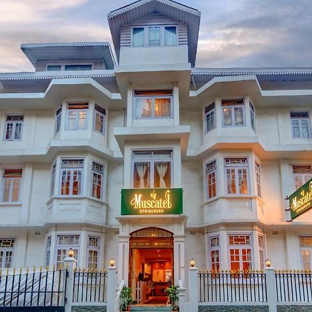 Muscatel Spring Burn - 100 Mts From Mall Road Darjeeling  Exterior foto