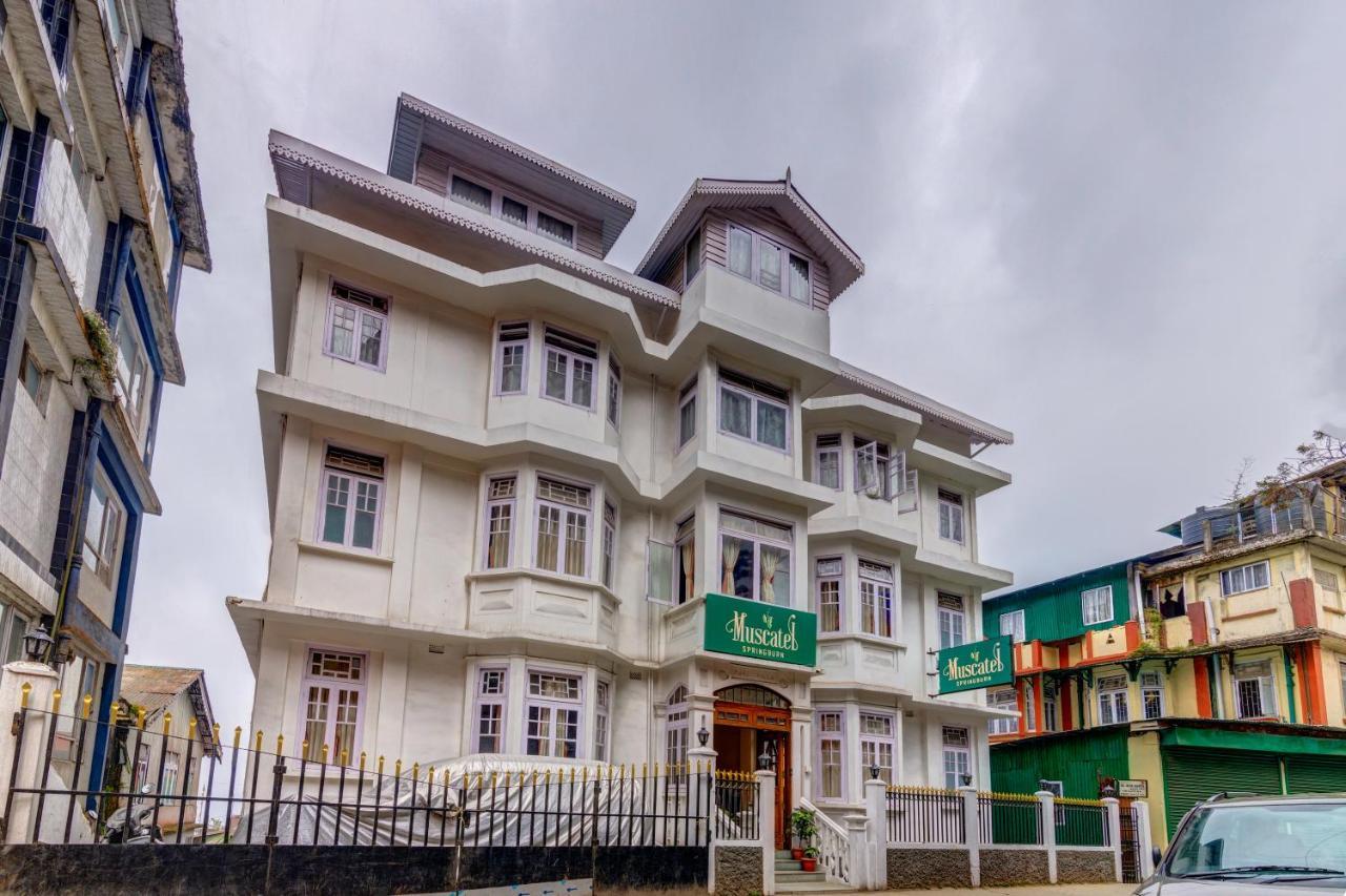 Muscatel Spring Burn - 100 Mts From Mall Road Darjeeling  Exterior foto